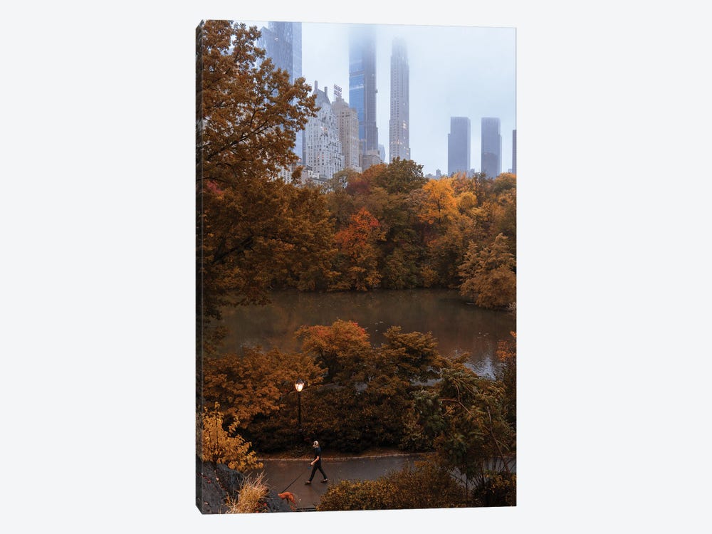 Man Walking Dog During Fall In Central Park by Dylan Walker 1-piece Canvas Art Print