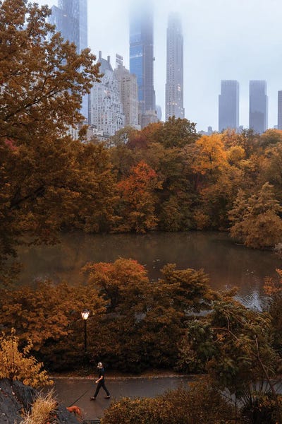 Dylan Walker: Man Walking Dog During Fall In Central Park by Dylan Walker