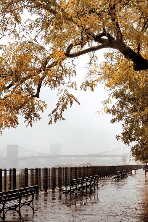 Man Walking Dog On Brooklyn Heights Promenade In Fall