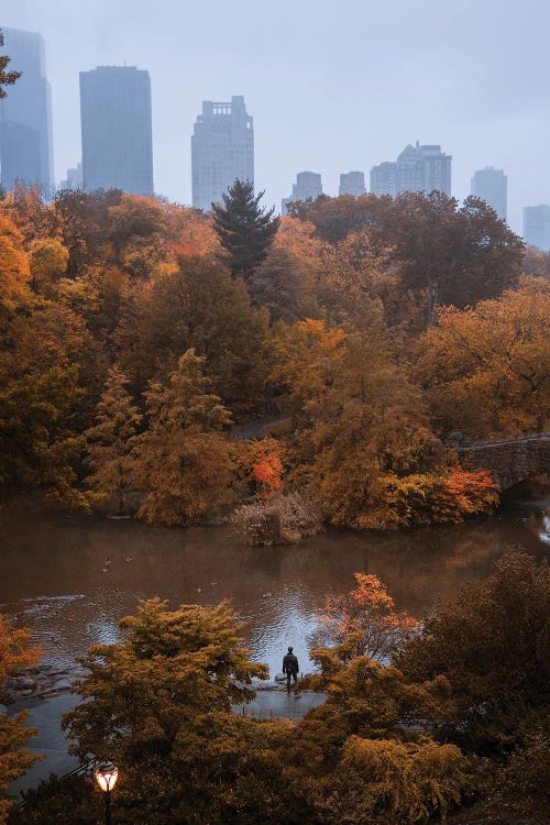 Lone Man In Central Park During Fall