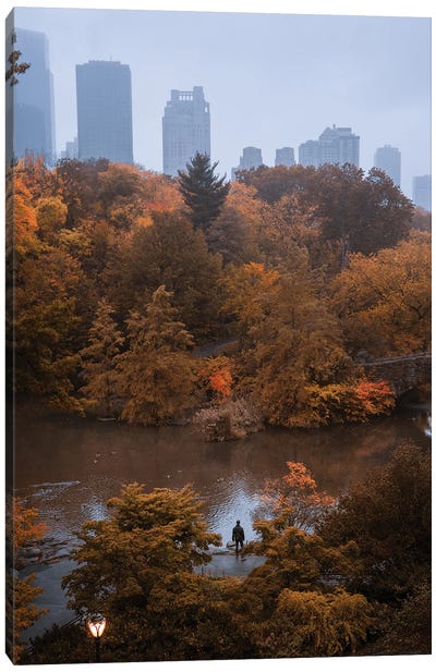 Lone Man In Central Park During Fall Canvas Art Print - Central Park