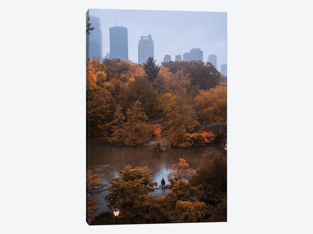 Lone Man In Central Park During Fall by Dylan Walker 1-piece Canvas Artwork