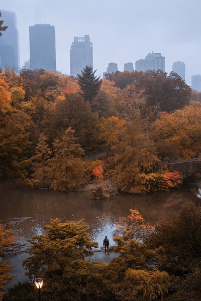 Dylan Walker: Lone Man In Central Park During Fall by Dylan Walker