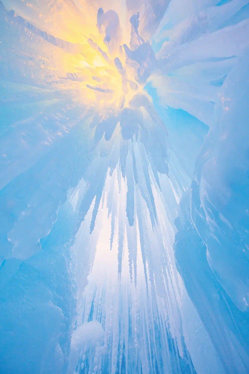 Icy Hot by Darren White Photography wall art