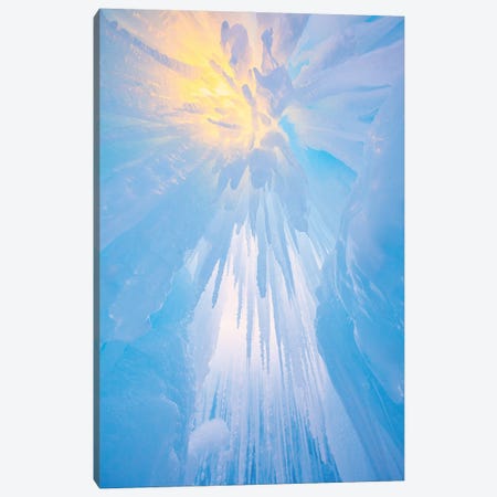 Icy Hot Canvas Print #DWP120} by Darren White Photography Art Print
