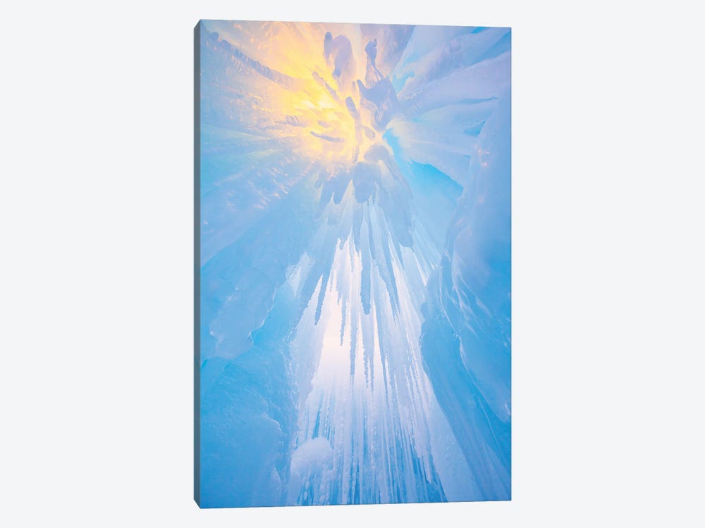 Icy Hot by Darren White Photography 1-piece Canvas Wall Art