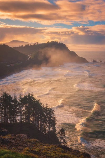 Darren White Photography: Oregon Coastal Mist by Darren White Photography
