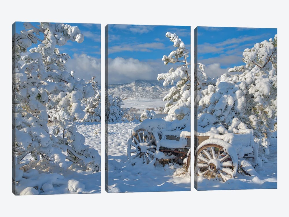 Parked For The Winter by Darren White Photography 3-piece Canvas Art
