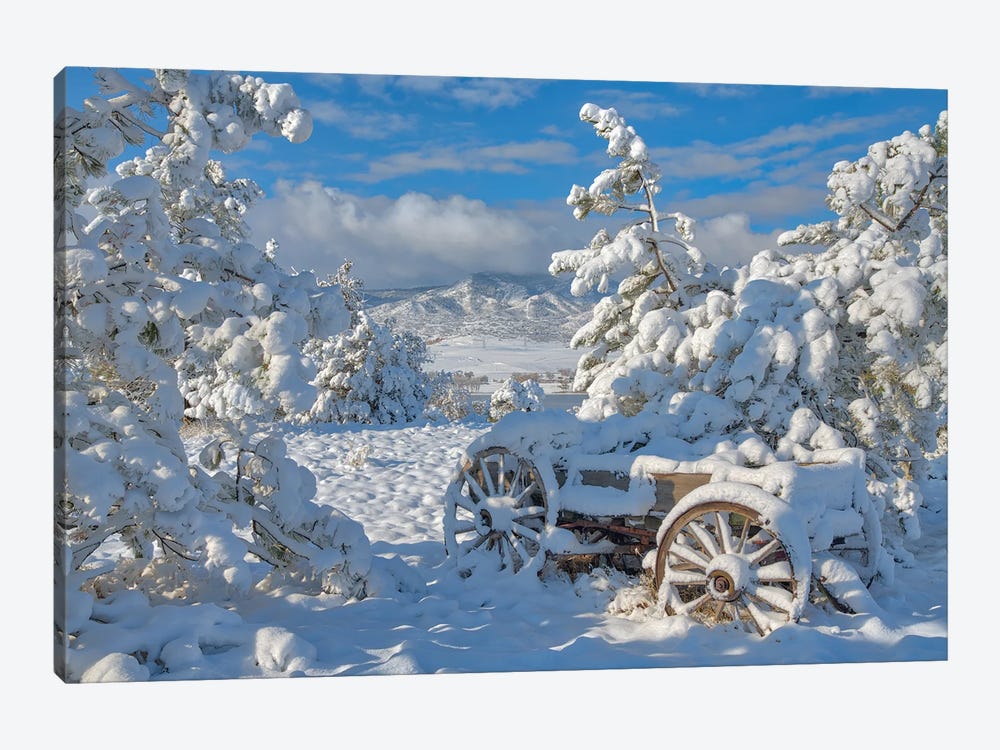 Parked For The Winter by Darren White Photography 1-piece Canvas Artwork