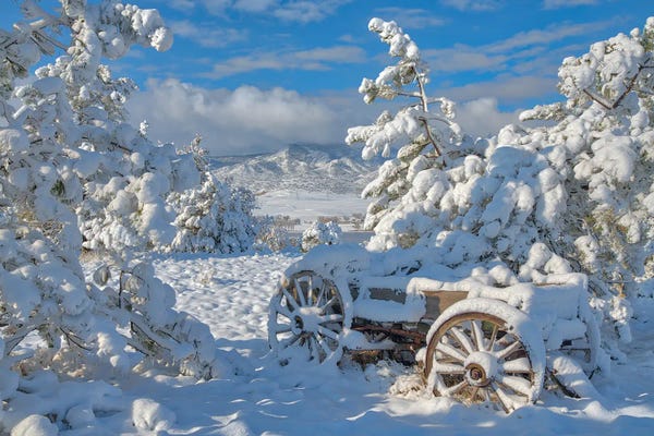 Darren White Photography: Parked For The Winter by Darren White Photography