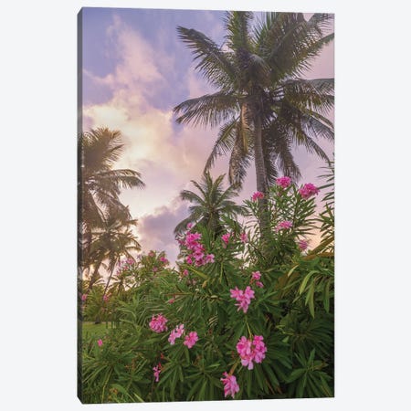 Sunrise in the Palms Canvas Print #DWP241} by Darren White Photography Canvas Wall Art