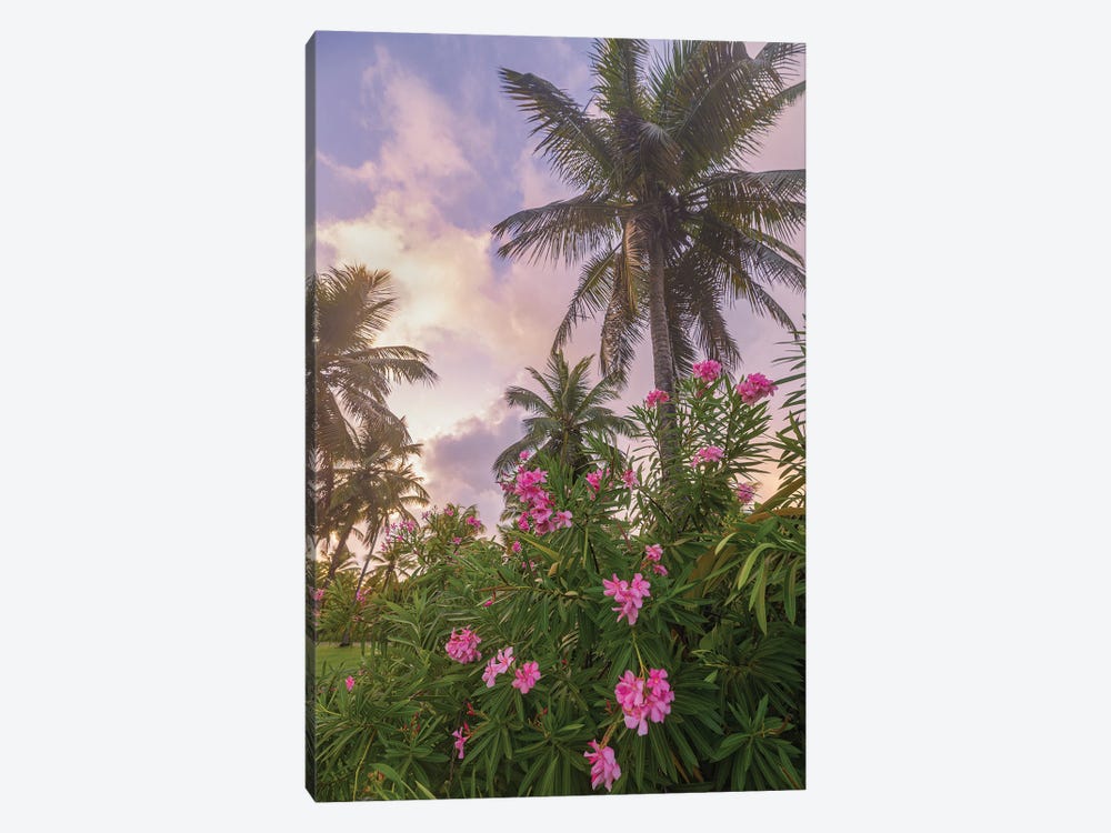 Sunrise in the Palms by Darren White Photography 1-piece Art Print