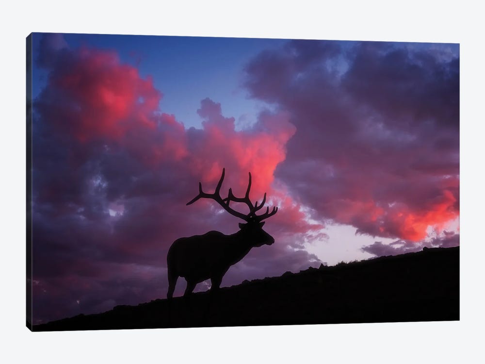 Sunset in the Rockies by Darren White Photography 1-piece Art Print