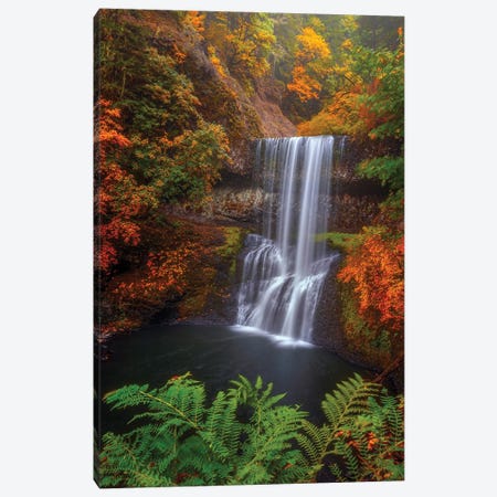 Surrounded by Color Canvas Print #DWP257} by Darren White Photography Canvas Art