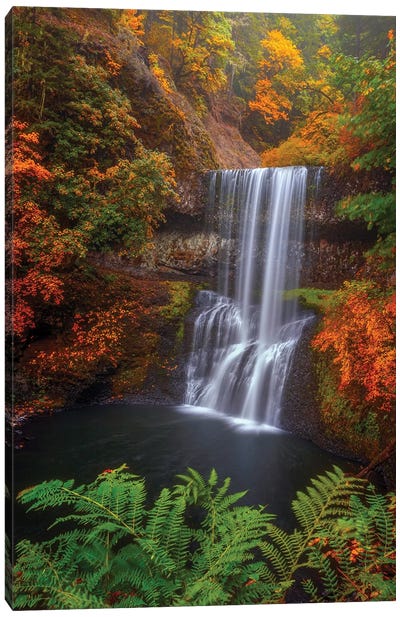 Surrounded by Color Canvas Art Print - Waterfall Art