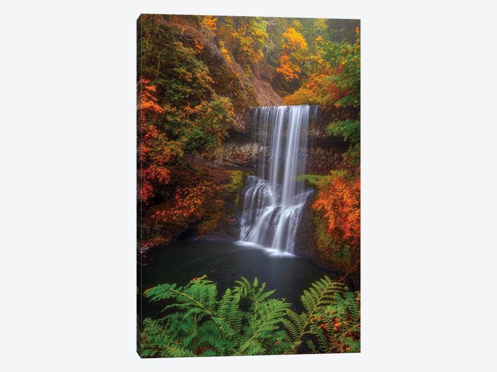 Surrounded by Color by Darren White Photography 1-piece Canvas Wall Art