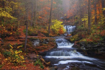 Fall Romance by Darren White Photography metal wall art