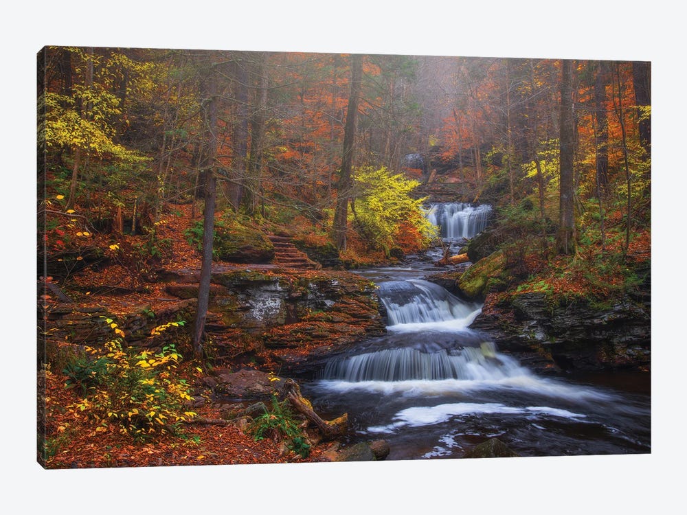 Fall Romance by Darren White Photography 1-piece Canvas Print