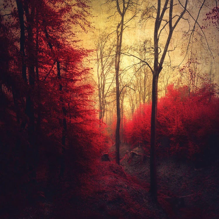 Ruby Red Forest