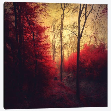 Ruby Red Forest Canvas Print #DWU13} by Dirk Wuestenhagen Art Print