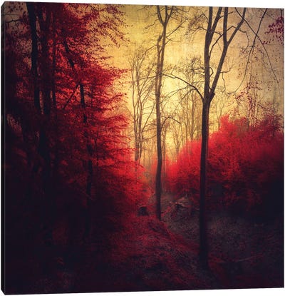 Ruby Red Forest Canvas Art Print