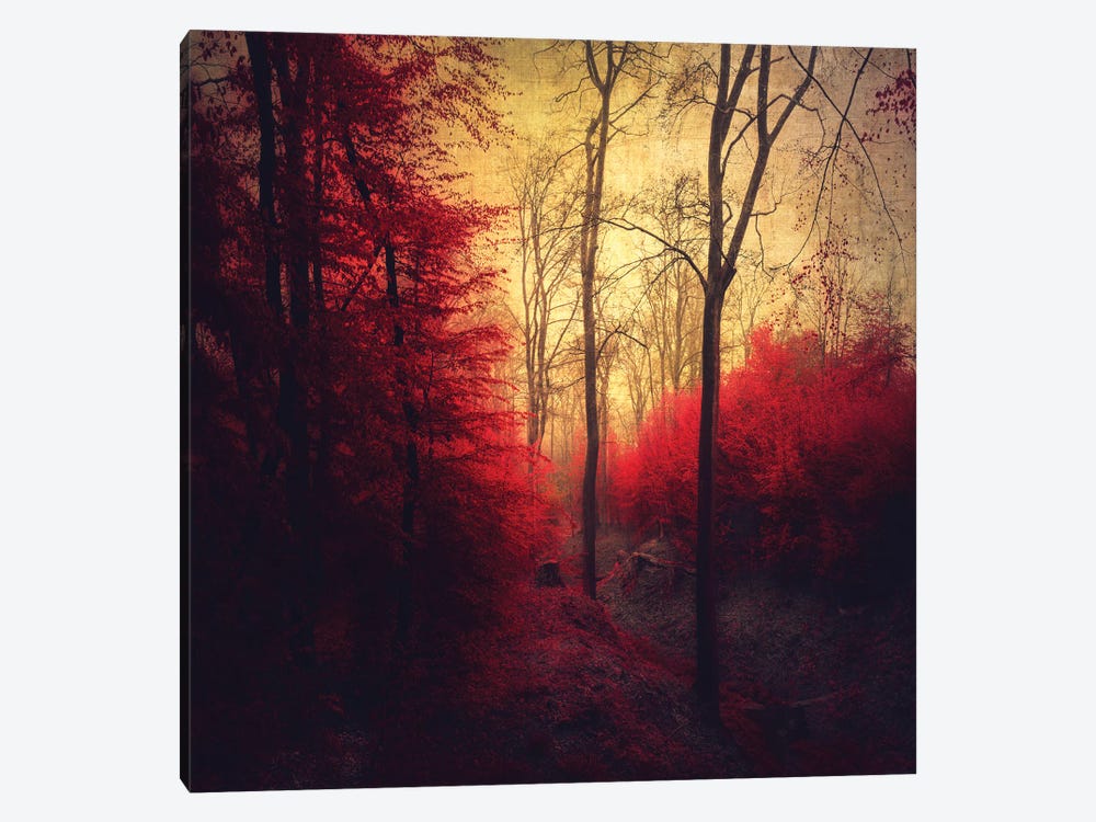 Ruby Red Forest by Dirk Wuestenhagen 1-piece Canvas Artwork