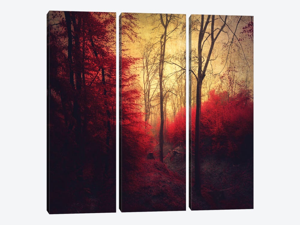 Ruby Red Forest by Dirk Wuestenhagen 3-piece Canvas Wall Art