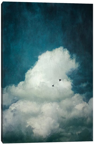 The Cloud Canvas Art Print