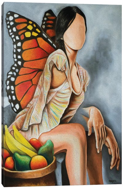 Libelula Canvas Art Print - Monarch Metamorphosis