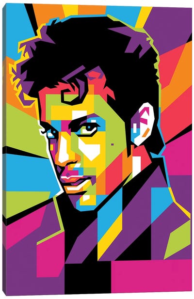 Prince Canvas Art Print - Large Colorful Accents
