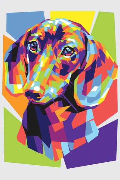 Dachshunds: Dachshund by Dayat Banggai