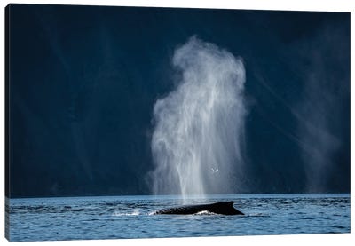 Mist Canvas Art Print - Humpback Whale Art