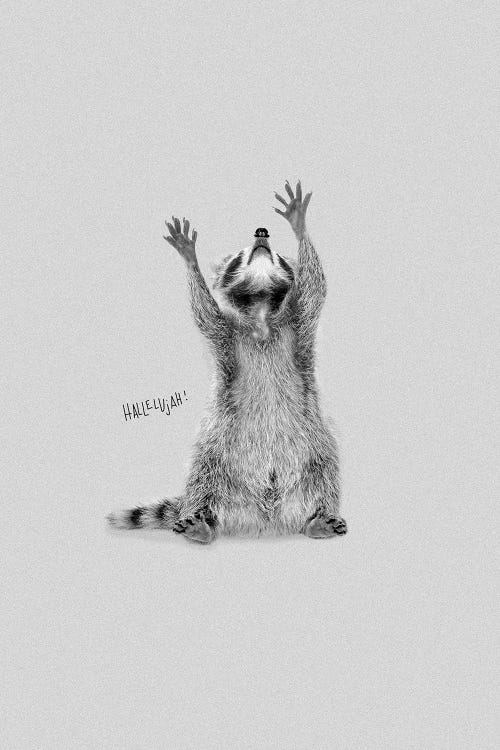 Happy Hallelujah Racoon