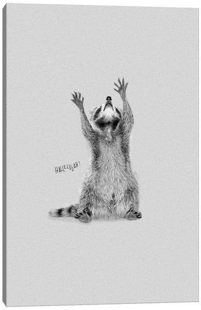 Happy Hallelujah Racoon Canvas Art Print - Raccoon Art