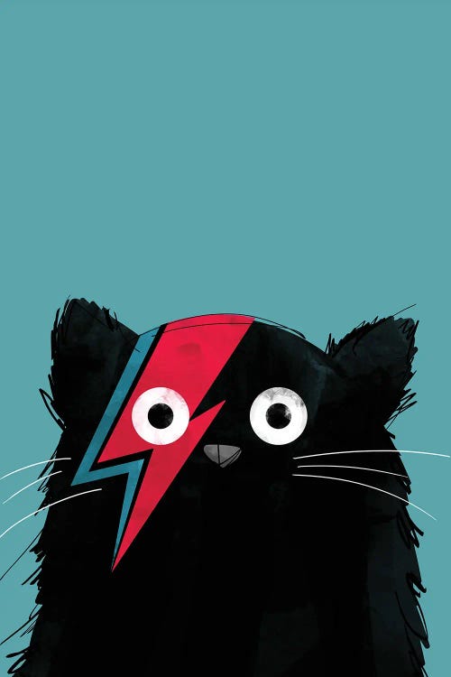 Cat Bowie