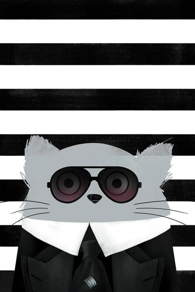 Cat Karl by Doozal canvas print