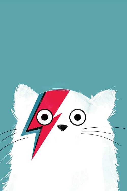 Cat Bowie White