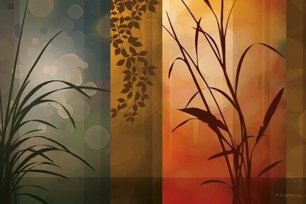 Grasses: Dusk To Dawn by Edward Aparicio