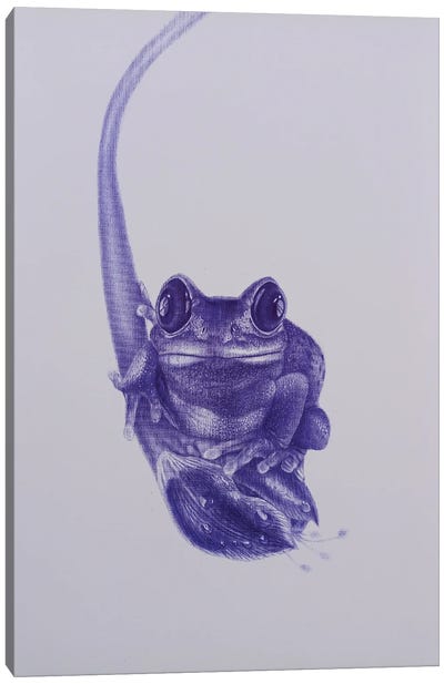 Lonely Canvas Art Print - Frog Art