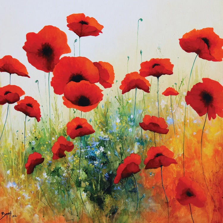 Attractive Poppy by Eric Bruni wall art