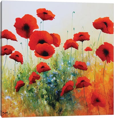 Attractive Poppy Canvas Art Print - Eric Bruni
