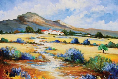 The Walker Path by Eric Bruni framed wall art