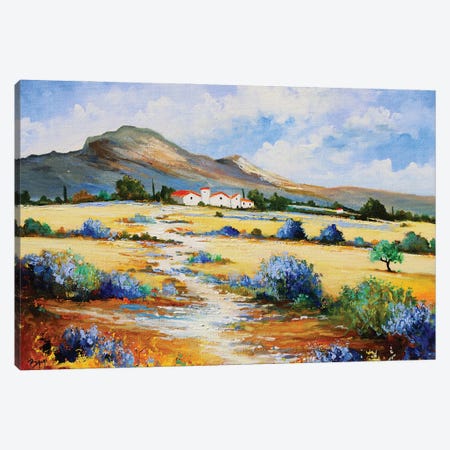 The Walker Path Canvas Print #EBN27} by Eric Bruni Canvas Print