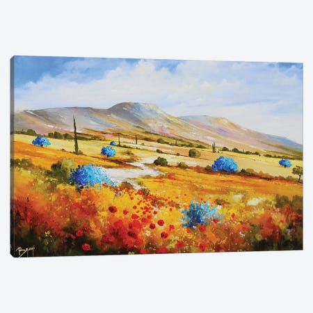 Blue Olive Trees In The Alpilles Canvas Print #EBN29} by Eric Bruni Canvas Artwork