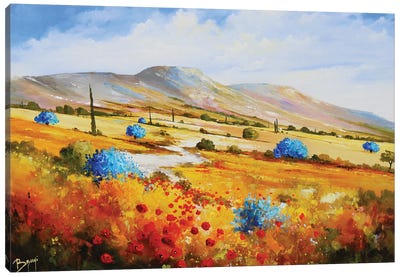 Blue Olive Trees In The Alpilles Canvas Art Print - Eric Bruni