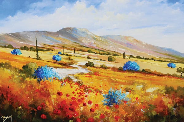 Olive Trees: Blue Olive Trees In The Alpilles by Eric Bruni