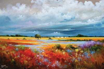 Plain In The Sky Of The Sky by Eric Bruni framed wall art