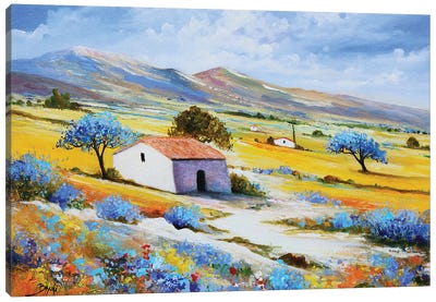 Peaceful Provence Canvas Art Print - Eric Bruni