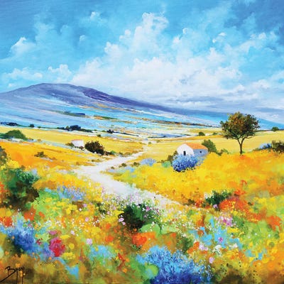 Serene View by Eric Bruni framed wall art