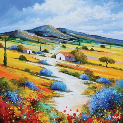 Provencal Trail by Eric Bruni framed wall art